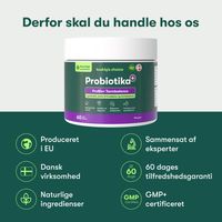 1 Probiotika til Hund – Sund Fordøjelse & Tarm | Buddy's Choice